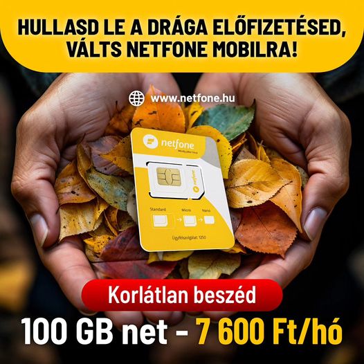 netfone 2024 11