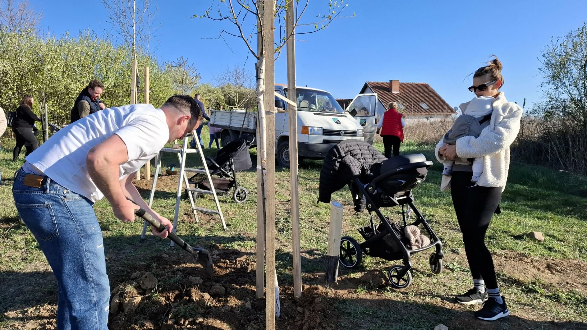 Új életet ültettek: 20 fát kapott a Gyermekliget Csolnokon