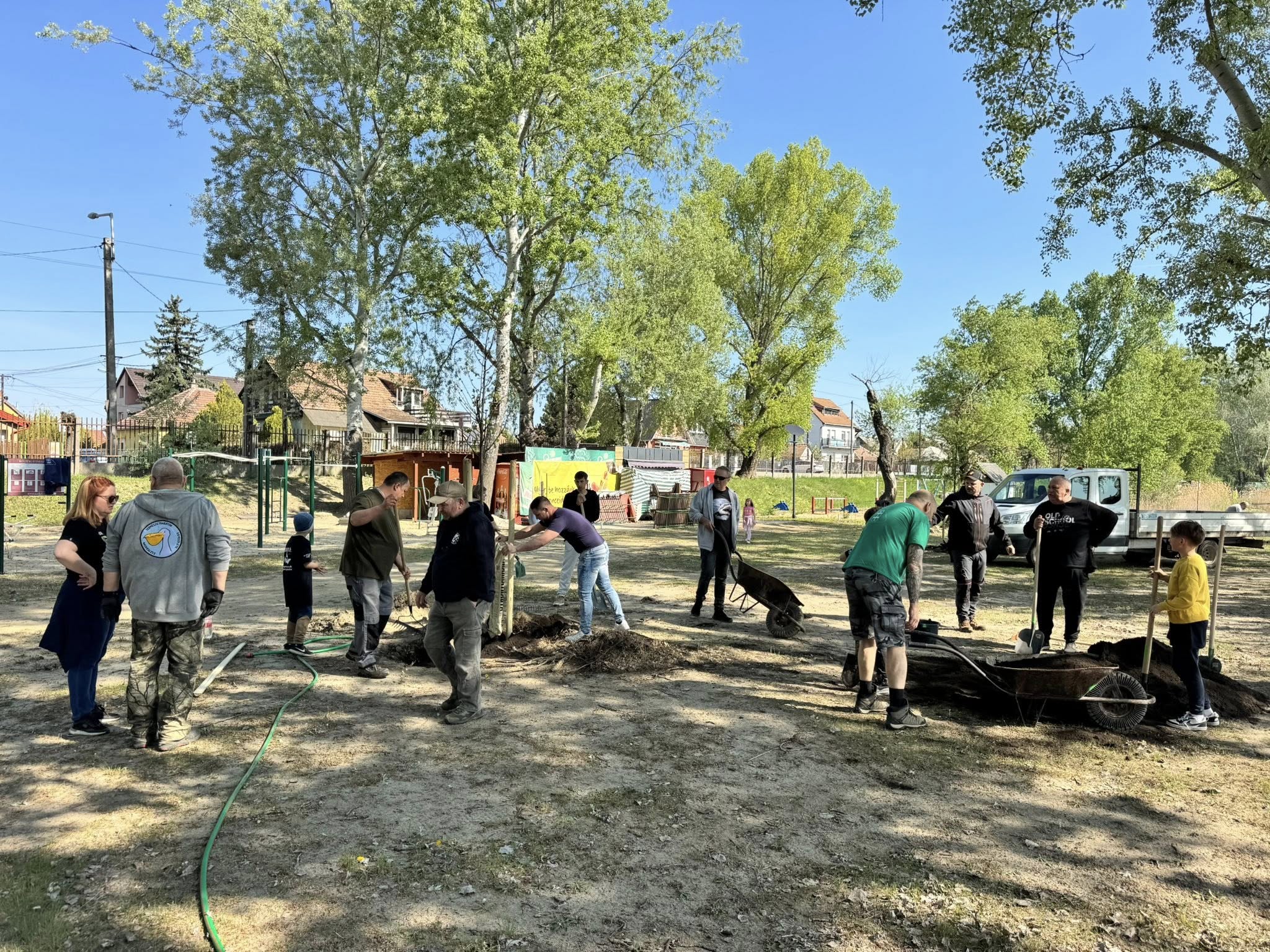Ötvenöt fát ültettek a Palatinus-tónál