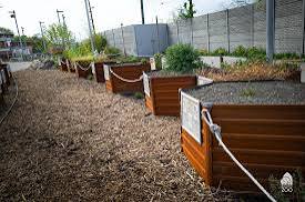 Beporzóbarát kerttel bővült a budapesti Állatkert növénykerti része