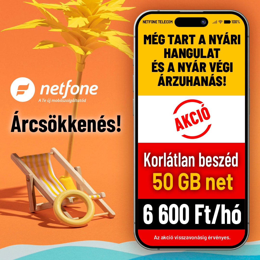 netfone 2024 11