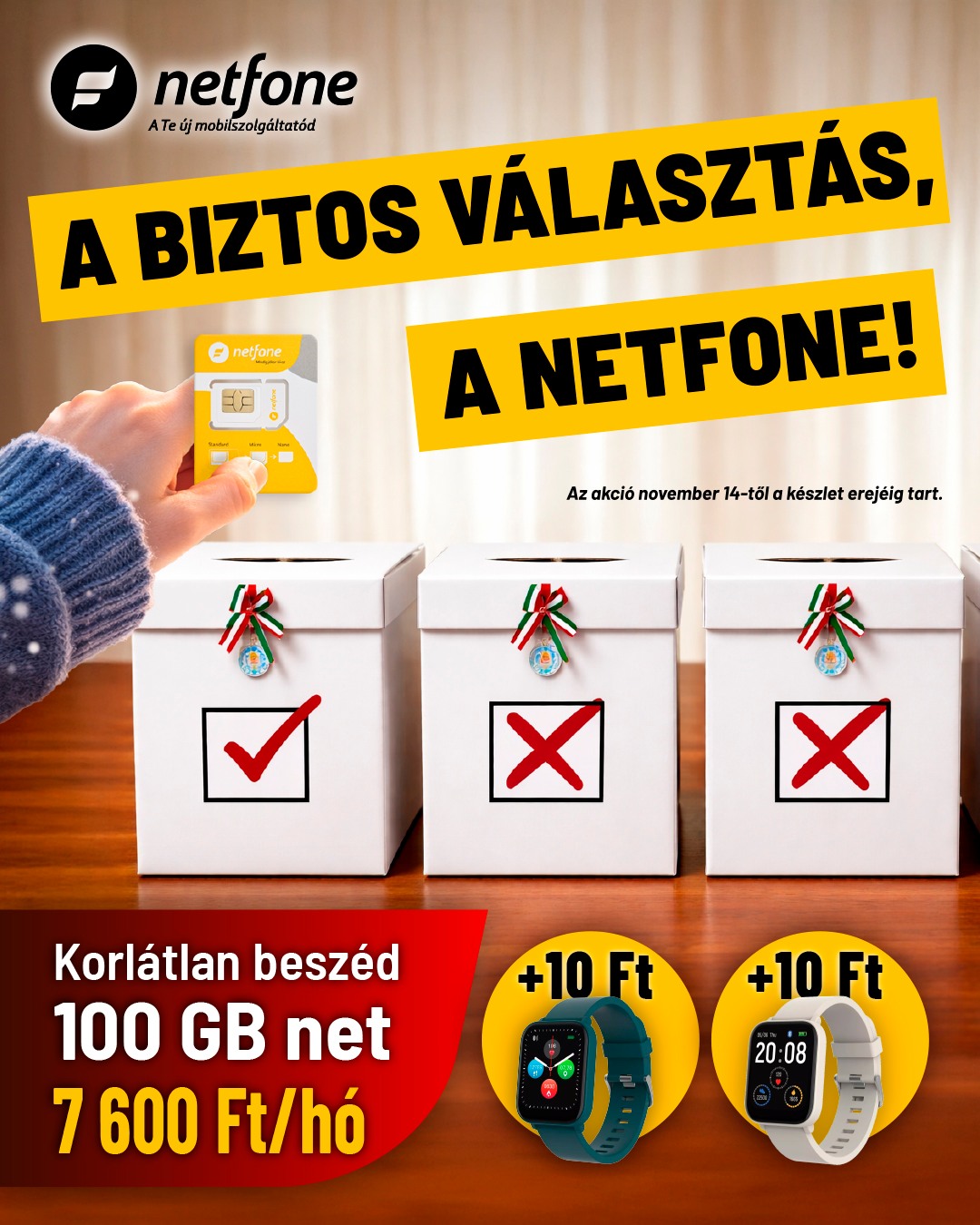 netfone 2024 11