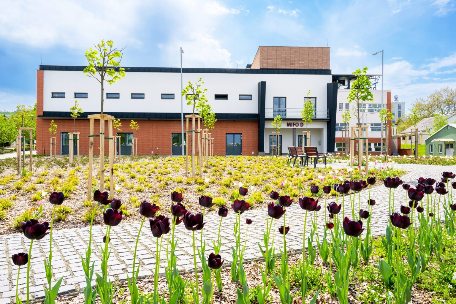 Föld Napja Dorogon: kézzelfogható lépések a Richtertől