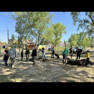 Ötvenöt fát ültettek a Palatinus-tónál