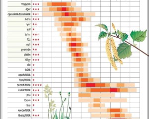 A kezdődő allergiaszezonban egyre többen keresnek rá a tünetekre a Semmelweis HELP applikációban