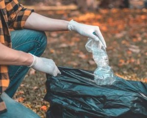 Több település fogott össze: nagyszabású Duna-part takarítás a térségben