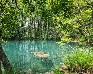 A Föld lüktető erei: A Vizes Élőhelyek Világnapja