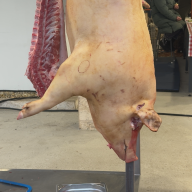 III. Böllérfesztivál Esztergomban  2026.01.17.