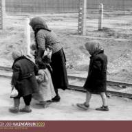 A fény a sötétség után: 81 éve szabadult fel Auschwitz