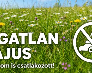 Esztergom is csatlakozott a Vágatlan május kezdeményezéshez
