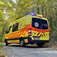 Túrázó került bajba Dobogókőnél: azonnal rohantak a tűzoltók