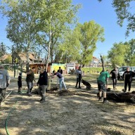 Ötvenöt fát ültettek a Palatinus-tónál