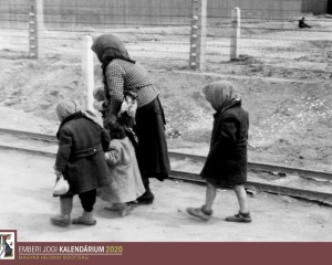 A fény a sötétség után: 81 éve szabadult fel Auschwitz