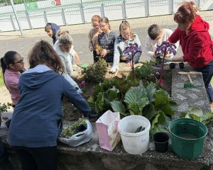 Közel 200 virágot ültettek a Föld napján a Meszlényi iskolában