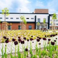 Föld Napja Dorogon: kézzelfogható lépések a Richtertől