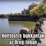 Holttestet találtak a tatai Öreg-tóban