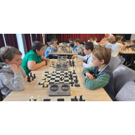 Taroltak a Dorogi AC sakkozói a megyei diákolimpián