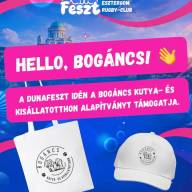 Példaértékű összefogás a DunaFeszten: bulizz és segíts egy jó ügyet!