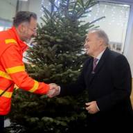 Idén is érkeznek a fenyőfák az ország összes mentőállomására