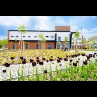 Föld Napja Dorogon: kézzelfogható lépések a Richtertől