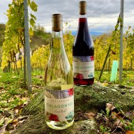 Újabb elismerést kapott a Galagonyás Habzóműhely