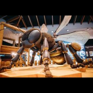 INGYENES MÚZEUMOK ÉS GALÉRIÁK BUDAPESTEN – LISTA + TIPPEK