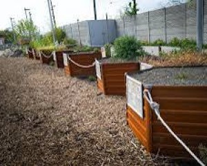 Beporzóbarát kerttel bővült a budapesti Állatkert növénykerti része