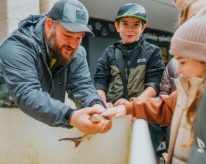 Magyar Hal Napja az Esztergomi Piacon