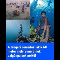 A mélység gyermekei: A badzsauk, akik az óceánban otthonra leltek