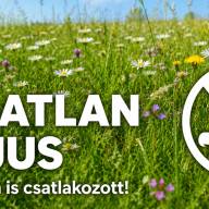 Esztergom is csatlakozott a Vágatlan május kezdeményezéshez
