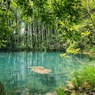 A Föld lüktető erei: A Vizes Élőhelyek Világnapja