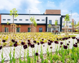 Föld Napja Dorogon: kézzelfogható lépések a Richtertől