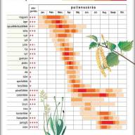 A kezdődő allergiaszezonban egyre többen keresnek rá a tünetekre a Semmelweis HELP applikációban