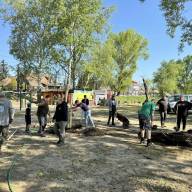 Ötvenöt fát ültettek a Palatinus-tónál