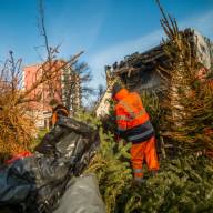 Búcsú a karácsonyfától: Mutatjuk a 2026-os elszállítási menetrendet a megyében