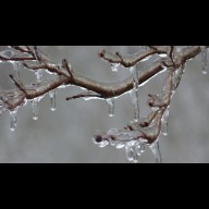 Vigyázat! Jégpáncél alatt a környék: Ónos eső bénítja a közlekedést