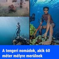 A mélység gyermekei: A badzsauk, akik az óceánban otthonra leltek