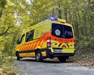 Túrázó került bajba Dobogókőnél: azonnal rohantak a tűzoltók