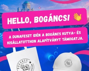 Példaértékű összefogás a DunaFeszten: bulizz és segíts egy jó ügyet!