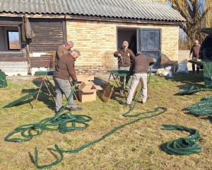 Süllőfészkekkel segítik az állomány növekedését