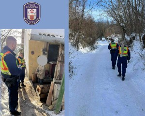 Esztergomi idős asszonyhoz siettek a rendőrök