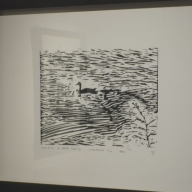 Zágonyi Petra grafikus kiállítása a Duna Múzeumban   2026.02.13.