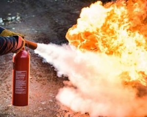Tűz ütött ki egy faházban Esztergomban: szerencsére nem történt robbanás