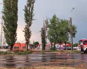 Pusztító vihar csapott le Komárom-Esztergom vármegye nyugati részére: Fák dőltek utakra, autókra és házakra
