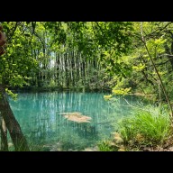A Föld lüktető erei: A Vizes Élőhelyek Világnapja