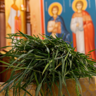 Hagyomány és hála: Jön az Esztergomi Búzaszentelő Ünnepség