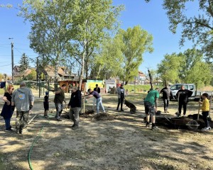 Ötvenöt fát ültettek a Palatinus-tónál