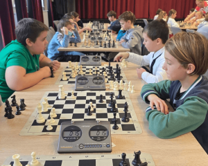 Taroltak a Dorogi AC sakkozói a megyei diákolimpián