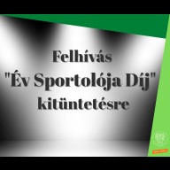 Esztergomi kiválóságok is vannak az év legjobb sportolói között