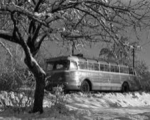 Amikor a Pilis kinyílt a világra: A Dobogókői út 1935-ös születése (videó)